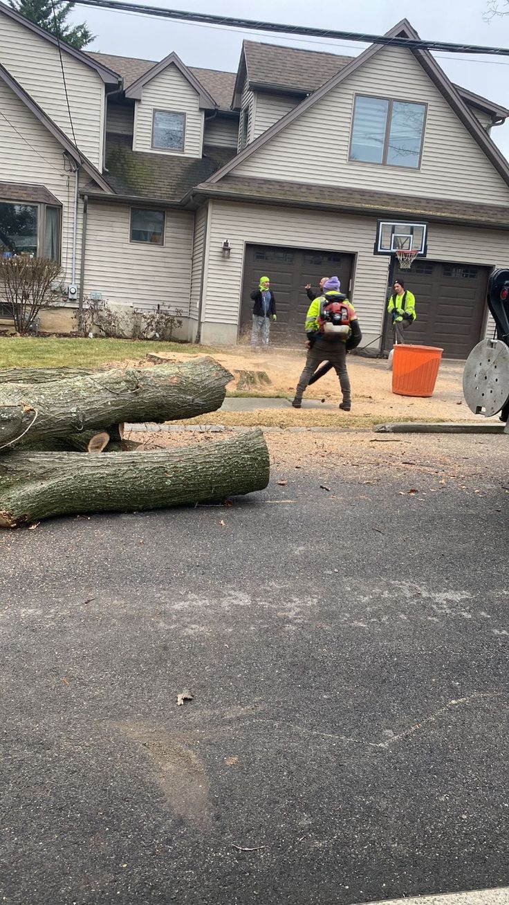 JP'S Tree Service team at work in Austin