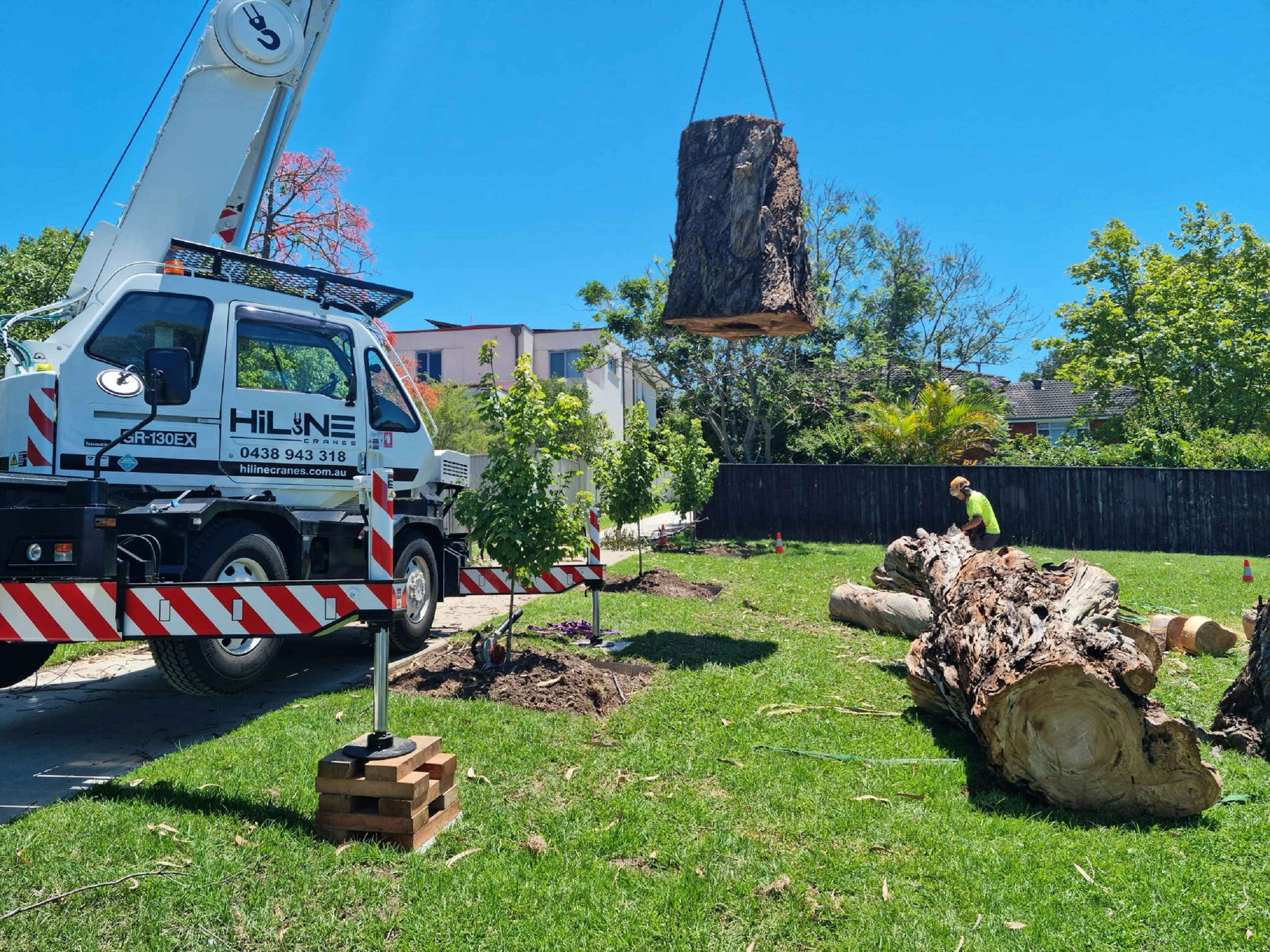 JP's Tree Service completed projects in Austin